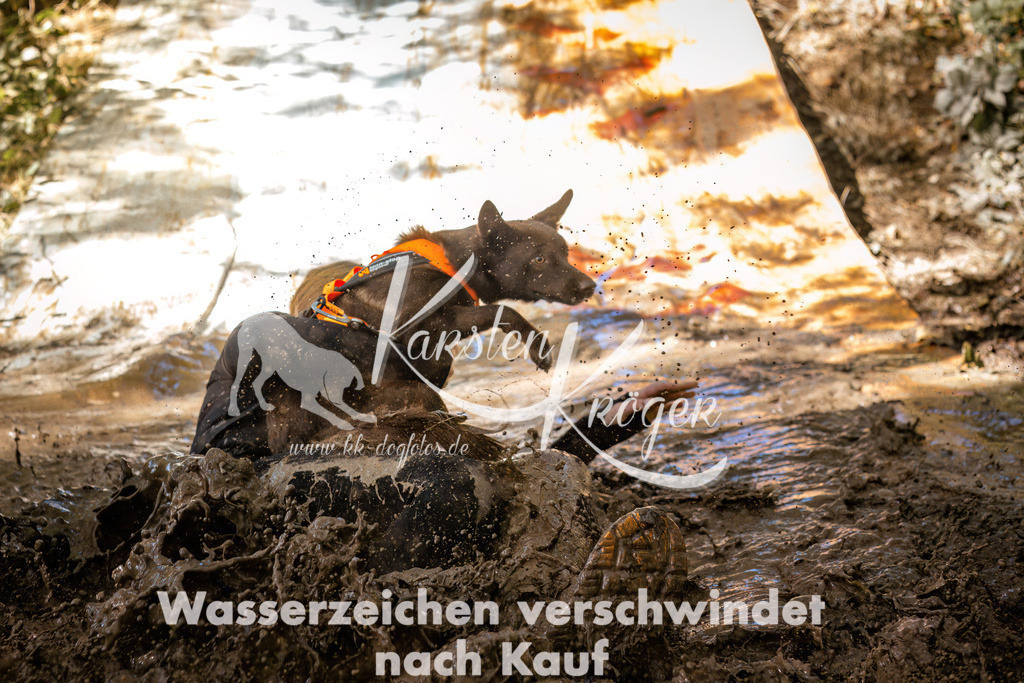 1322_ZZ91301 | kk-dogfotos