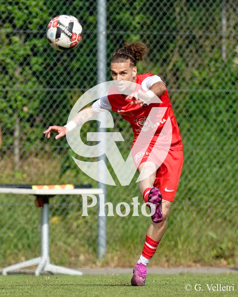 DSC_5694 | Velletri Photo