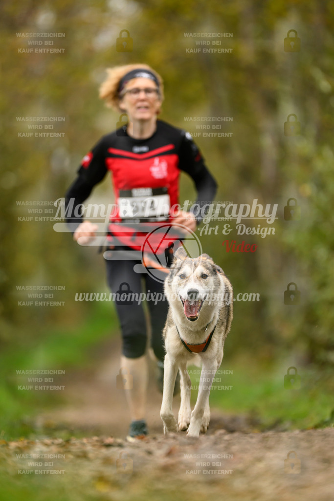 MompixPhotography_20TSB_E6_Run-198 | PayLife
