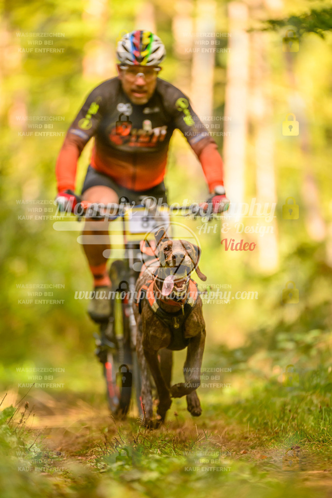 MompixPhotography_Yens2025_B2-156 | PayLife