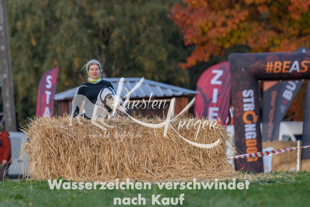 0847_ZZ91338-Bearbeitet | kk-dogfotos