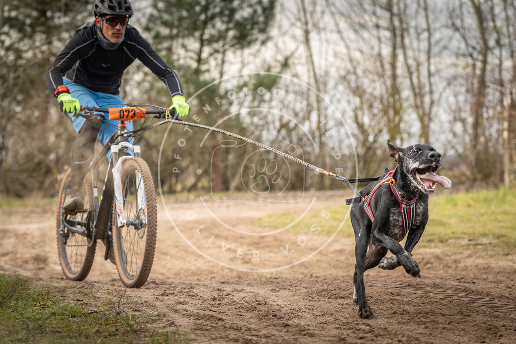 Pfotenfotografie_DV3A7144 | Hundefotografie, Tierfotograf, Pfotenfotografie, Fotoshooting Hund, Hunde Portrait, Hundesport, Hundeportraits, Heideshooting, Hunde, Sportfotograf, Hundefotograf, Turnierhundsport, THS,  - Realisiert mit Pictrs.com