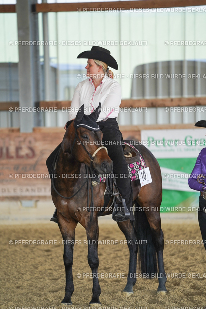 DSC09986 | Pferdegrafie