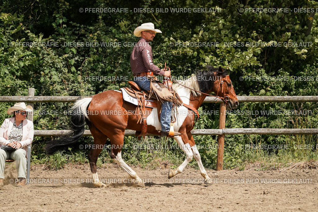 DSC09790 | Pferdegrafie