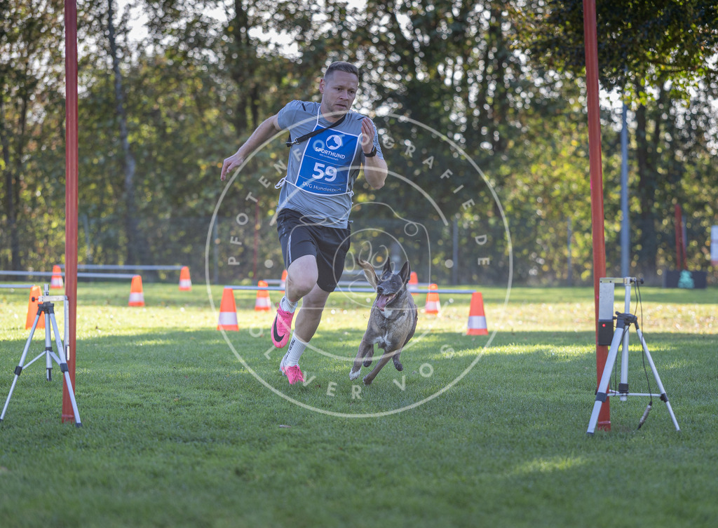 Pfotenfotografie.de_DV3A3211 | Hundefotografie, Tierfotograf, Pfotenfotografie, Fotoshooting Hund, Hunde Portrait, Hundesport, Hundeportraits, Heideshooting, Hunde, Sportfotograf, Hundefotograf, Turnierhundsport, THS, canicross - Realisiert mit Pictrs.com