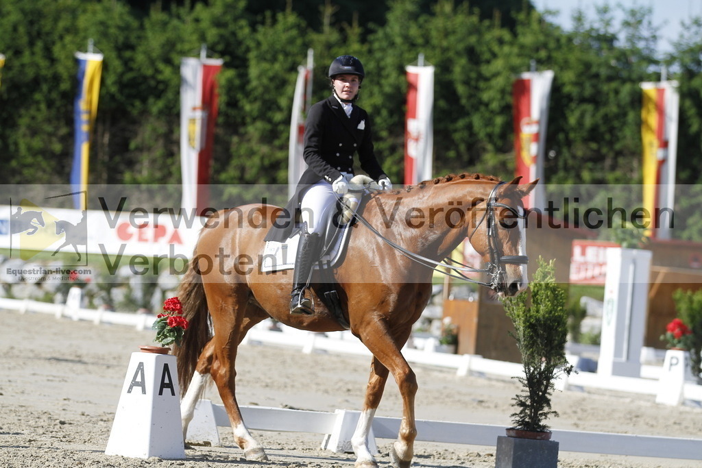 _MG_3217 | equestrian-live-com