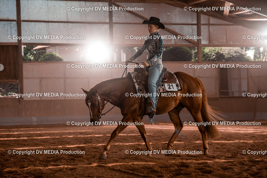 NE100459 | dv-media-shop - Realisiert mit Pictrs.com