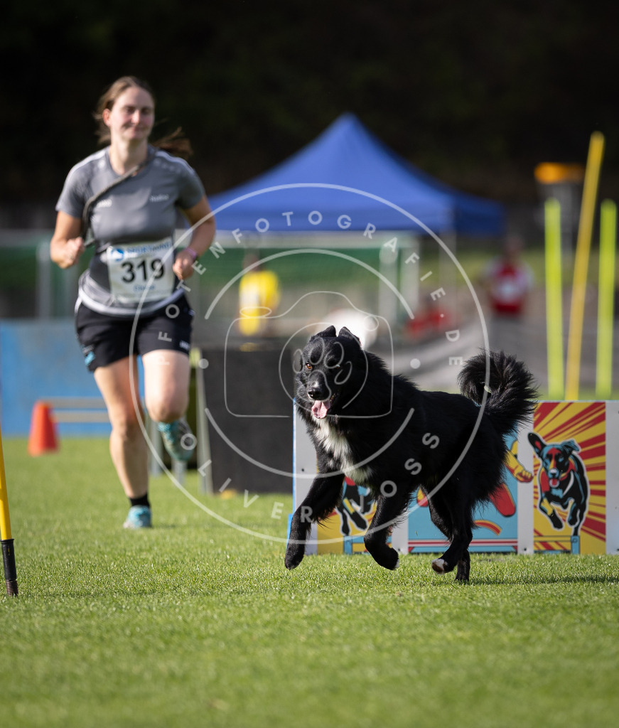 Pfotenfotografie_DV3A2036 | Hundefotografie, Tierfotograf, Pfotenfotografie, Fotoshooting Hund, Hunde Portrait, Hundesport, Hundeportraits, Heideshooting, Hunde, Sportfotograf, Hundefotograf, Turnierhundsport, THS,  - Realisiert mit Pictrs.com