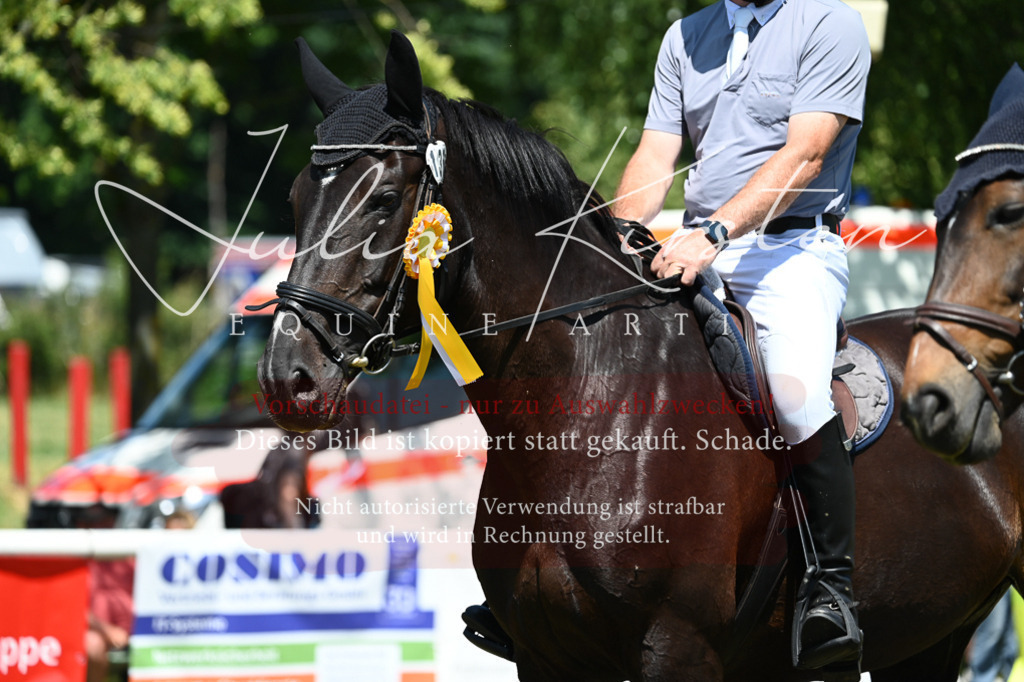 DSC_0897 | Pferde- und Turnierfotografie in Westsachsen. Pferdeportraits, Auftragszeichnungen und intuitive Kunst.