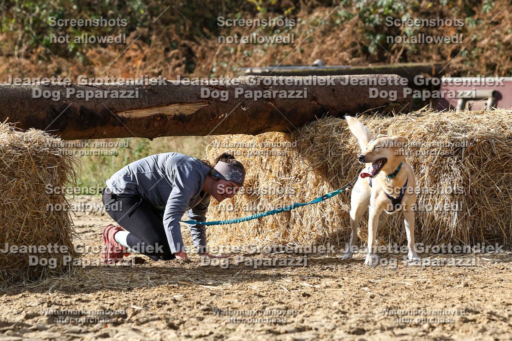 Dog Paparazzi - Strongdog 10-25-5361 | Dog Paparazzi Jeanette Grottendiek Fotografie & Videografie - Realisiert mit Pictrs.com