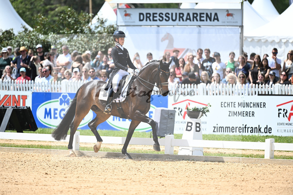 Hendricks_Drombusch OLD_12244055 | hf-fotografie - Realisiert mit Pictrs.com