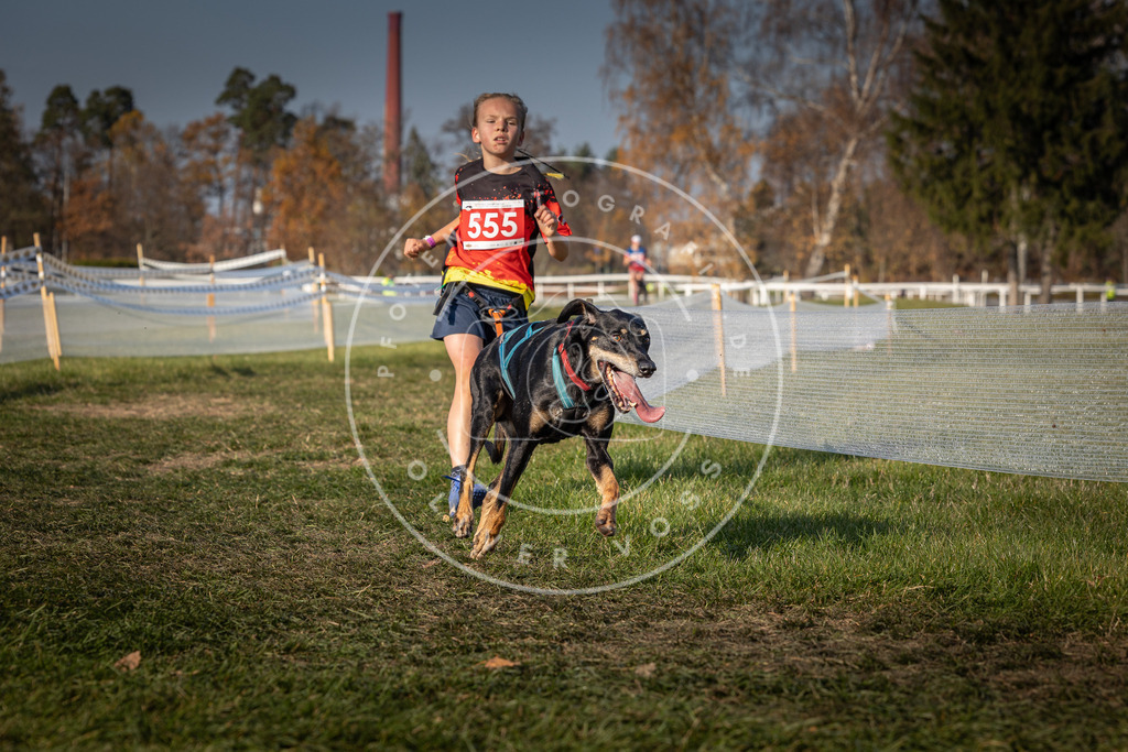 CaniXpix_0L8A9134 | Hundefotografie, Tierfotograf, Pfotenfotografie, Fotoshooting Hund, Hunde Portrait, Hundesport, Hundeportraits, Heideshooting, Hunde, Sportfotograf, Hundefotograf, Turnierhundsport, THS,  - Realisiert mit Pictrs.com