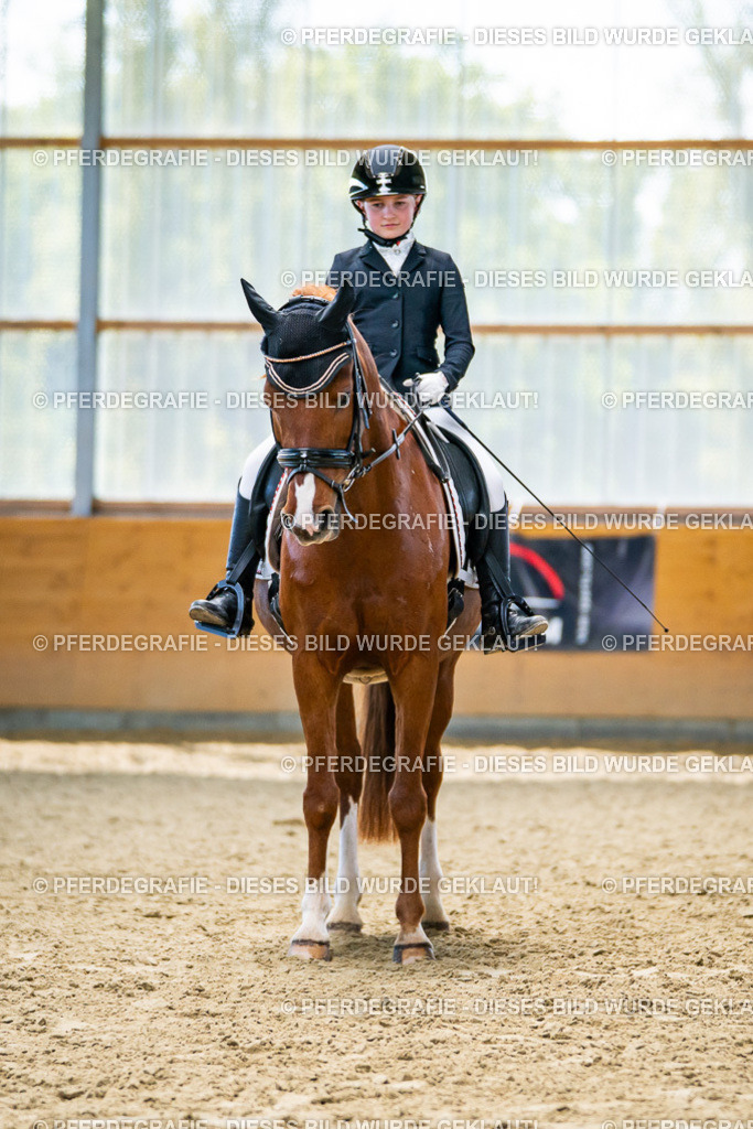 DSC05151 | Pferdegrafie