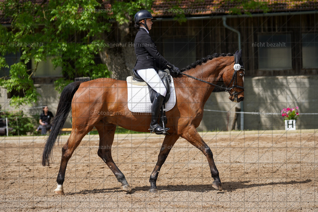 20240519-FAH05009 | Turnierbilder Niederseeon 2024, Vielseitigkeitsdressur, Reitsportbilder aus dem Landkreit Ebersberg, Gut Steinsee, RC Steinsee, Fotoagentur Herrmann