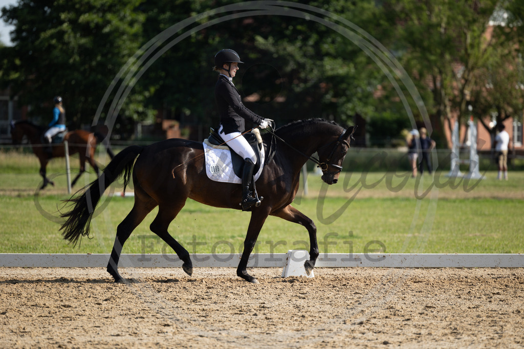 994A4153 | sabrinanicolaifotografie - Realisiert mit Pictrs.com