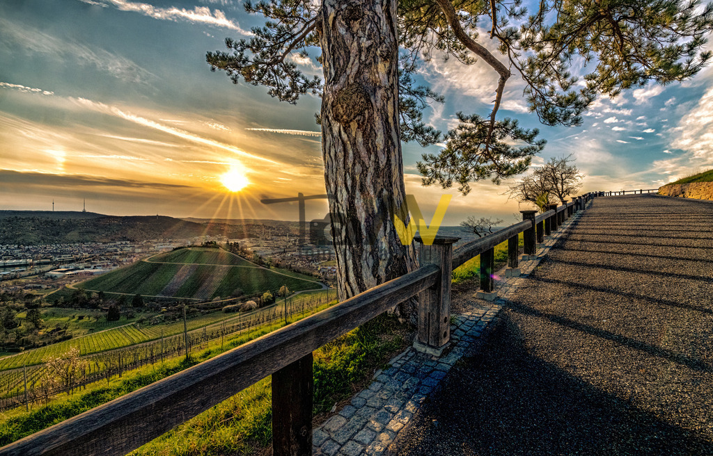 Sonnenuntergang am Württemberg in Stuttgart | Die tiefstehende Sonne erzeugt lange Schatten und schöne Strukturen auf dem Weg des Württembergs. Schöne Kiefer im Vordergrund. - Realisiert mit Pictrs.com