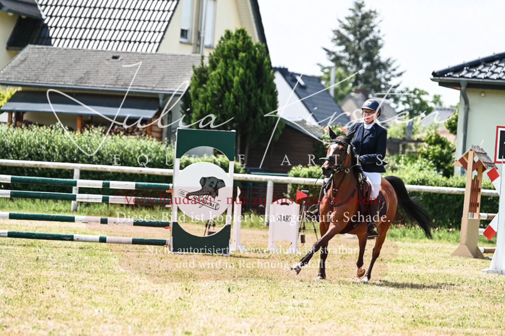 DSC_9284 | Pferde- und Turnierfotografie in Westsachsen. Pferdeportraits, Auftragszeichnungen und intuitive Kunst.