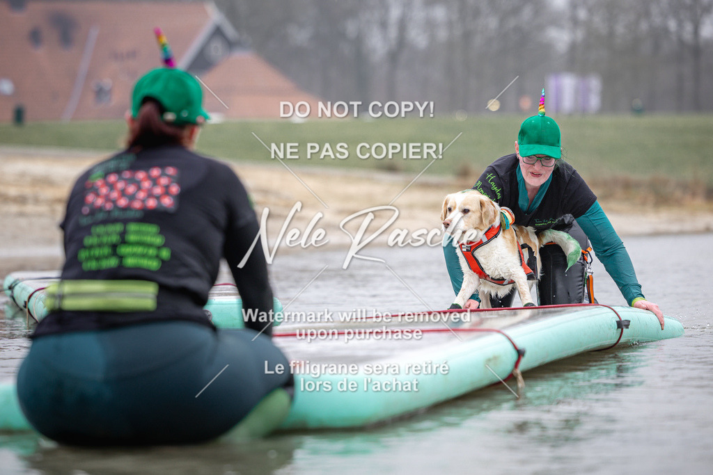 nelerasche_Hulsbeek_Sa0845-1030_510 | nelerasche