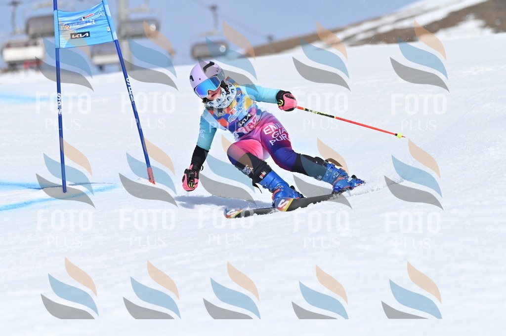 BGV_0655 | holidayphoto