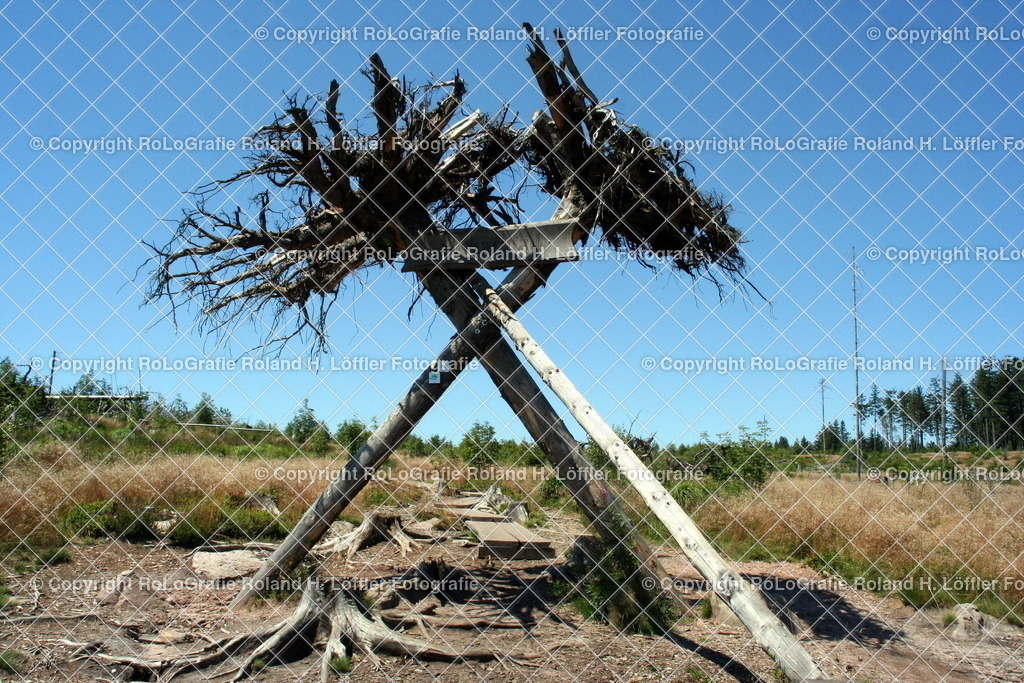 Lotharpfad-04 | Skulptur aus umgestürzten Bäumen des Sturms Lothar am Lotharpfad - Realisiert mit Pictrs.com