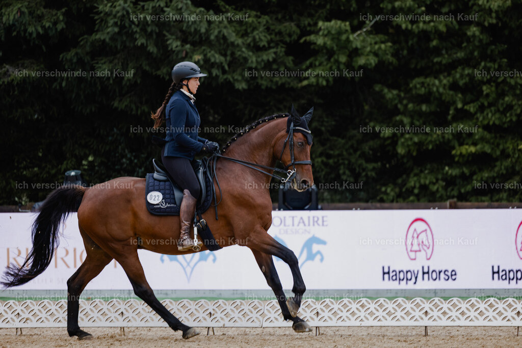 Nadine22_FHC2025-10 | working equitationturnier fotograf videograf stoibphotography marixx film working equitation deutschland reitsport turnierfotografie eventfotografie equestrian events