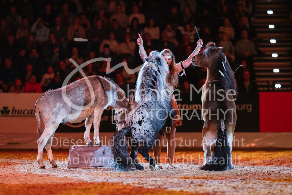 241102_Oldenburg_Show-327 | Deine schönsten Turniermomente als professionelle Fotos! Entdecke hochwertige Pferdesport-Fotografie im Online-Shop. Jetzt Fotos finden & bestellen!