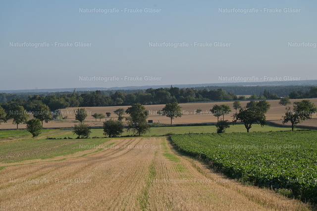 F.Gläser_0707 | Naturfotografie Frauke Gläser - Realisiert mit Pictrs.com
