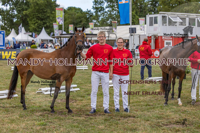 DR (1235 von 2698) | mandyhollmannphotographie