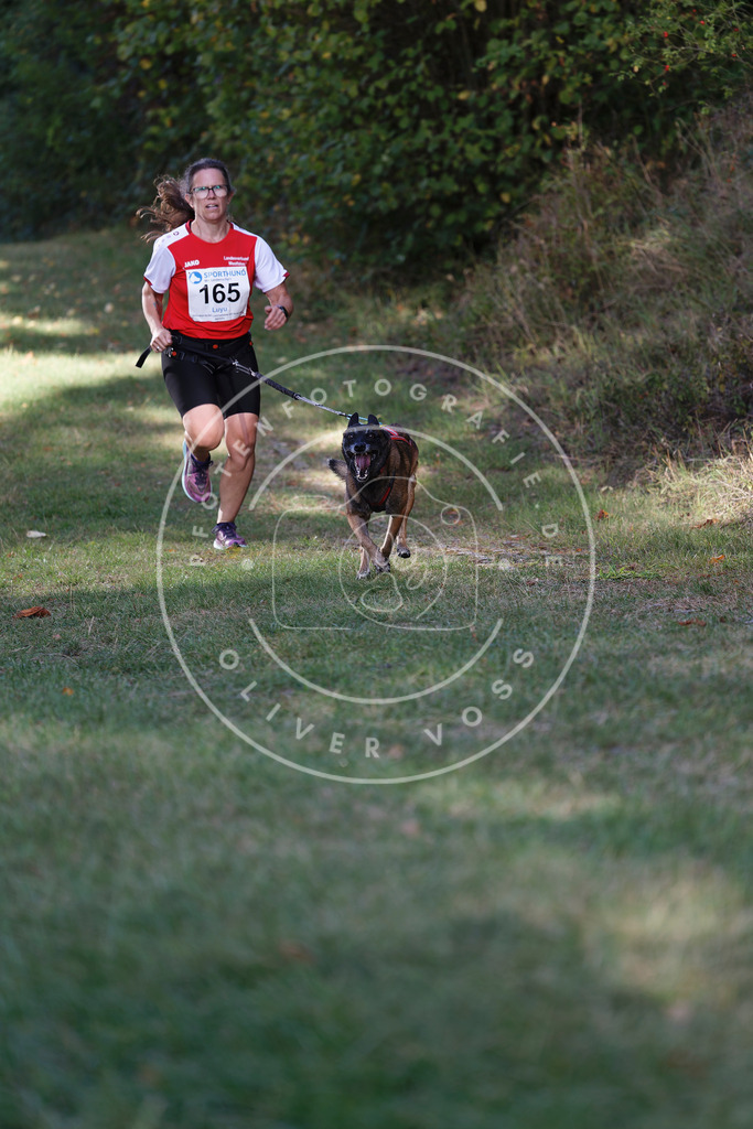 0L8A5378 | Hundefotografie, Tierfotograf, Pfotenfotografie, Fotoshooting Hund, Hunde Portrait, Hundesport, Hundeportraits, Heideshooting, Hunde, Sportfotograf, Hundefotograf, Turnierhundsport, THS,  - Realisiert mit Pictrs.com