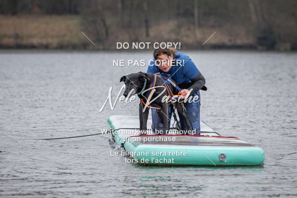 nelerasche_Hulsbeek_Sa1330-1430_235 | nelerasche