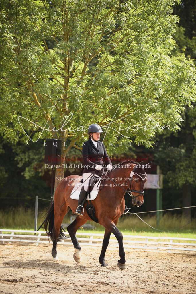 DSC_0775 | Pferde- und Turnierfotografie in Westsachsen. Pferdeportraits, Auftragszeichnungen und intuitive Kunst.