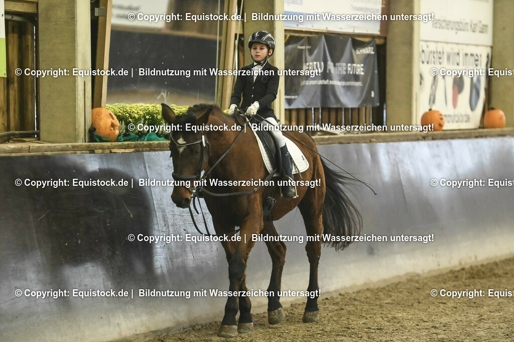 20231029_02_Reiter-WB_Schritt-Trab_Abteilung-04_0009 | Foto: Thomas Hartig
