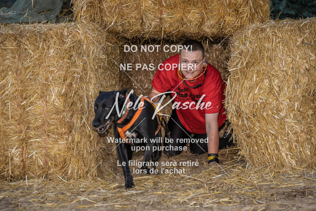 nelerasche_FrNacht_123 | nelerasche
