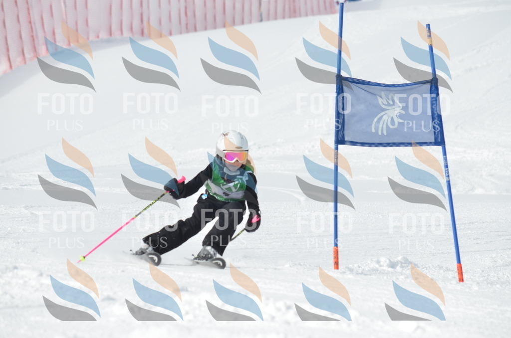 D8492 | holidayphoto