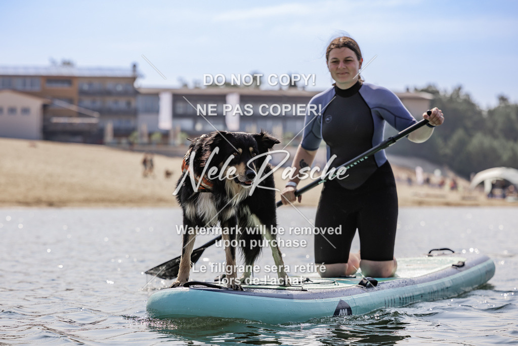 BUHU_SUP_301 | nelerasche