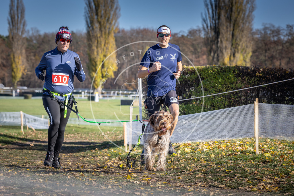 CaniXpix_DV3A9727 | Hundefotografie, Tierfotograf, Pfotenfotografie, Fotoshooting Hund, Hunde Portrait, Hundesport, Hundeportraits, Heideshooting, Hunde, Sportfotograf, Hundefotograf, Turnierhundsport, THS,  - Realisiert mit Pictrs.com