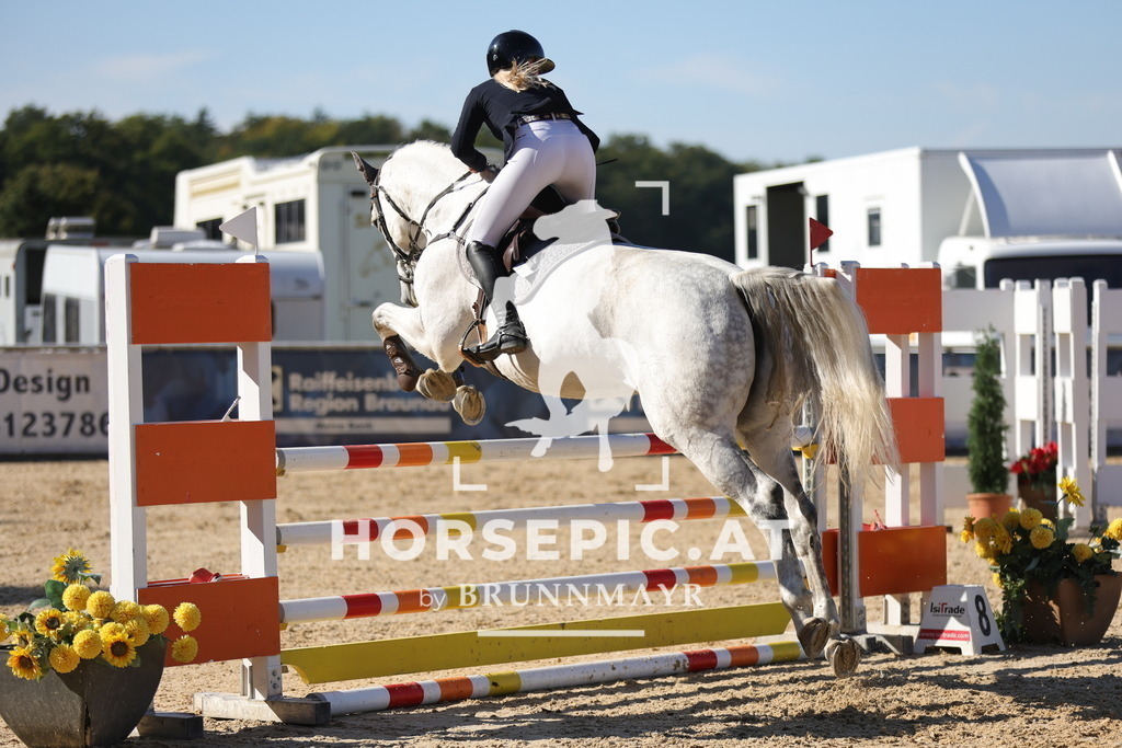 0P6A0916 | Willkommen bei Brunnmayr - Design & Fotografie – Ihrem Spezialisten für Reitturniere und Pferdeveranstaltungen in Oberösterreich, Salzburg und Bayern! Seit über 17 Jahren sind wir leidenschaftlich dabei.