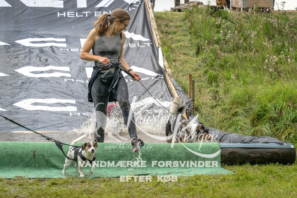 1600_ZZ91946 | kk-dogfotos