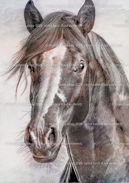 Pferd 009 | titusgraphy-shop: Geschenkideen mit Qualitätsfotos. titusgraphy-shop: gift ideas with quality photos. titusgraphy-shop: idées cadeaux avec photos de qualité.  - Realisiert mit Pictrs.com