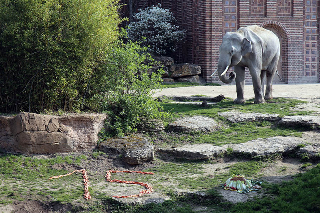 Elefantentempel Ganesha Mandir im Zoo | Entdecke über 20 Kategorien Leipzig-Motive: Foto-Downloads, hochwertige Poster, Leinwand- & Fine-Art-Prints. Jetzt Lieblingsfoto im Bildlexikon Leipzig Shop bestellen!