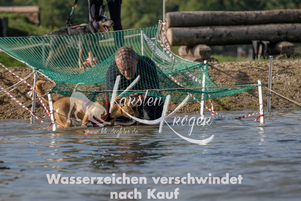1109_ZZ91712 | kk-dogfotos