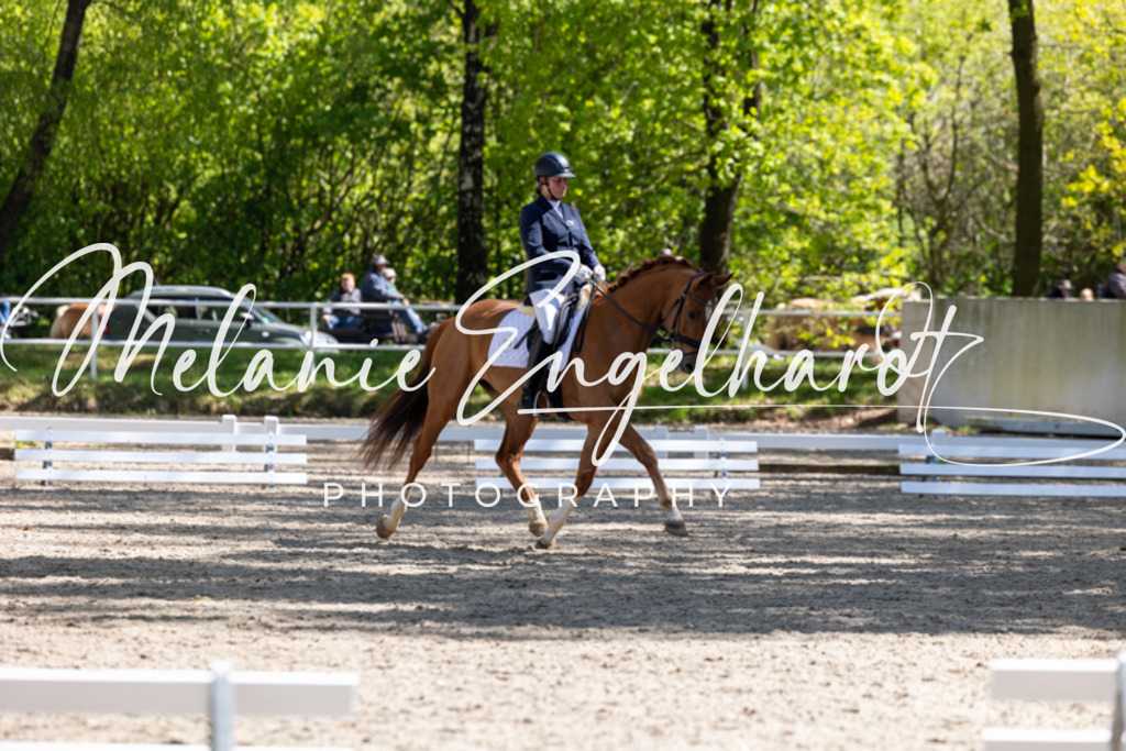 7I8A3765 | melanie-engelhardt-photography - Realisiert mit Pictrs.com