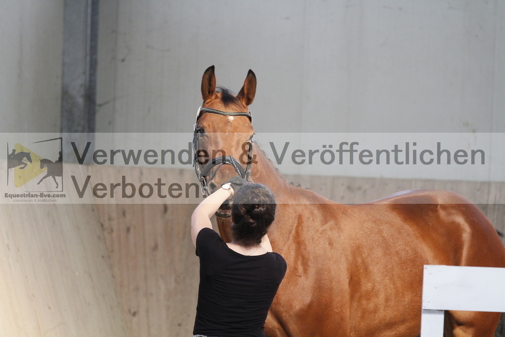 _MG_0621 | equestrian-live-com