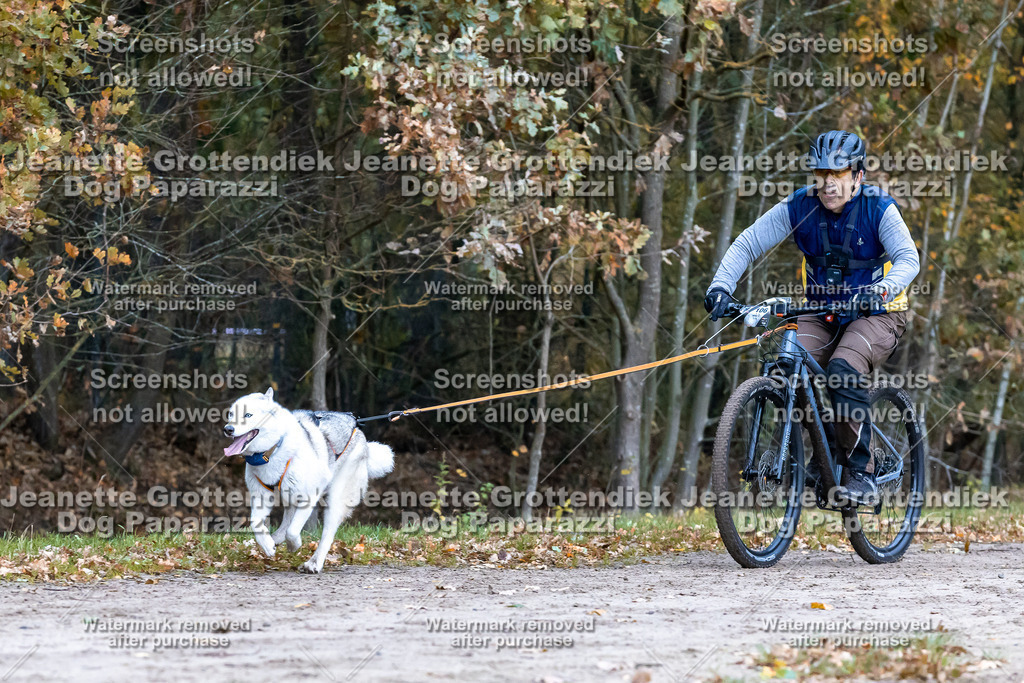 Dog Paparazzi - SD CaniX Championship 2025-223 | Dog Paparazzi Jeanette Grottendiek Fotografie & Videografie - Realisiert mit Pictrs.com