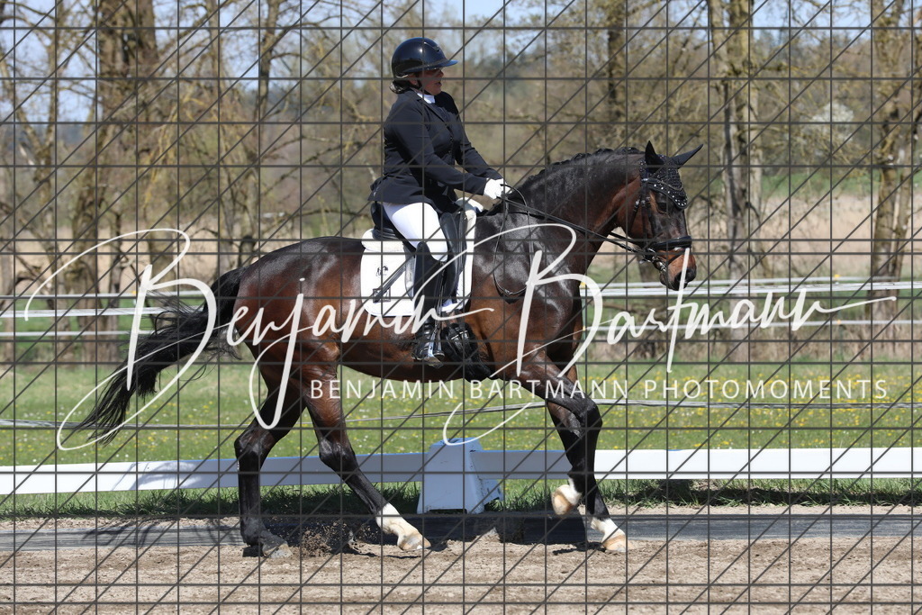 AZ2A4699 | Benjamin Bartmann Photomoments