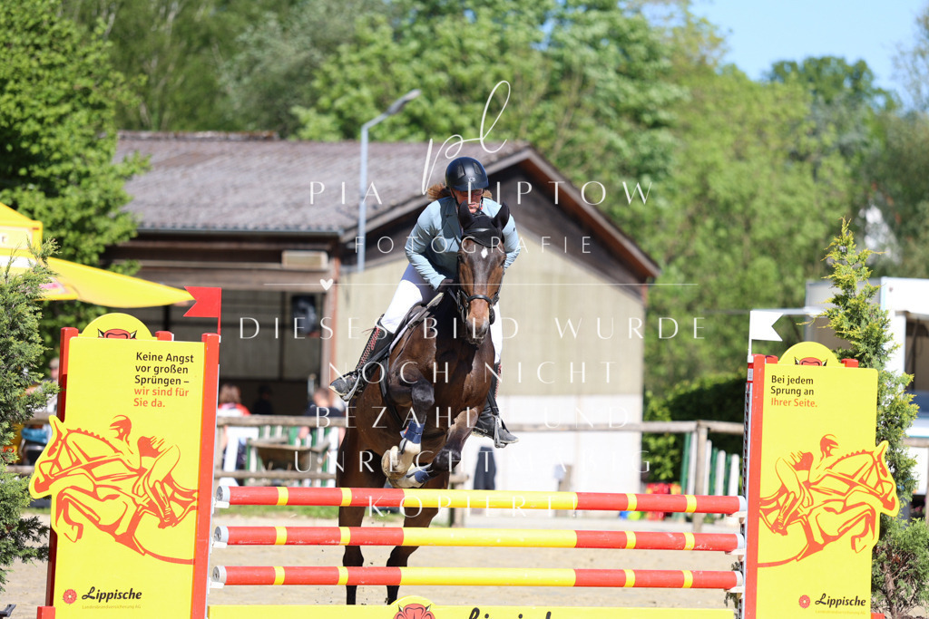 IMGS6563 | pl-fotografie