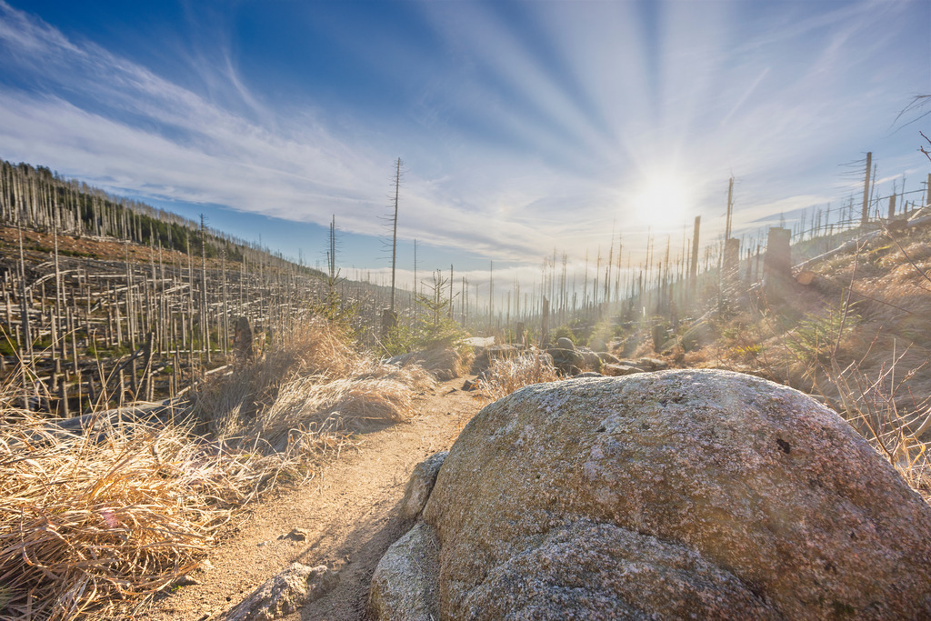 HARZ_Brocken_RGB-5 | Wir machen aus Ihren Bildern Erinnerungen für die Ewigkeit | Hochwertige Fotografien für Ihr zu Hause. - Realisiert mit Pictrs.com