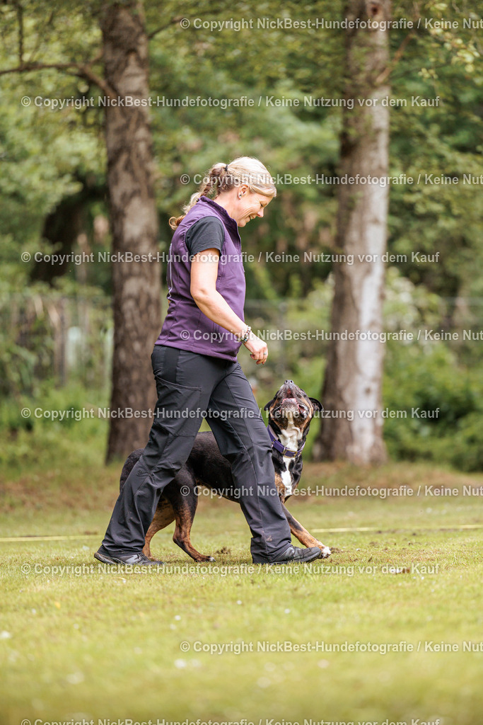 RO-Blumenthal-2026-Nickbest-Hundefotografie-1680 | Dein Hund! Dein Moment! Deine Erinnerungen! Hundefotografie in Bremen Blumenthal. Ich fange die besonderen Momente deines Vierbeiners ein – ob Indoor mit Blitzanlage oder in der freien Natur. Sicher dir dein Moment und dein Termin für eure Erinnerungen.