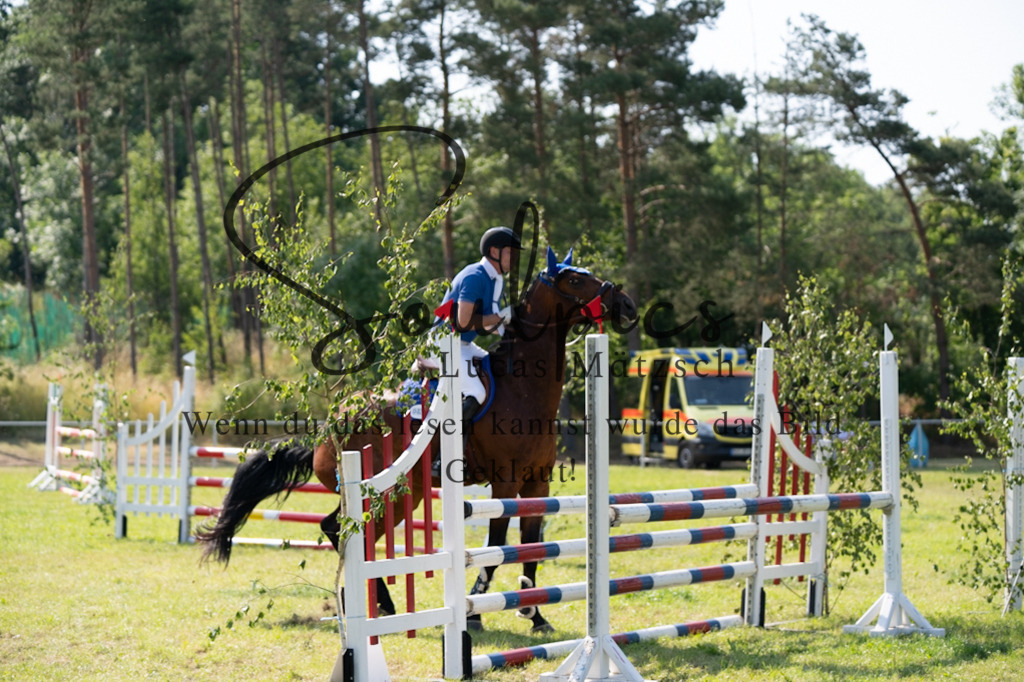 A7V06737 | Pferdefotograf