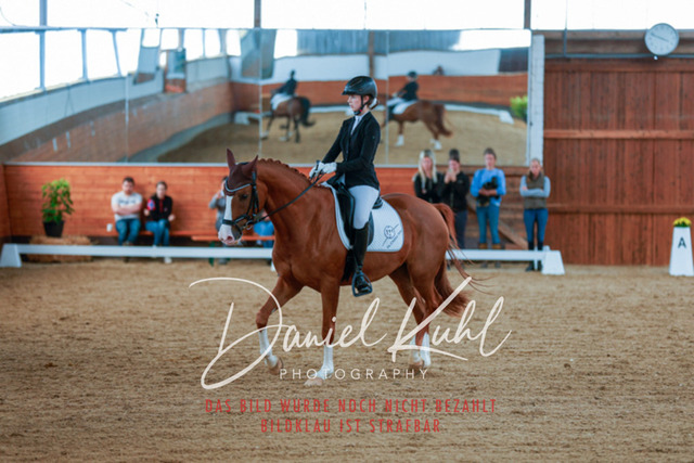 _62_5430 | Turniersportfotografie; Pferdefotografie; Dressurfotografie